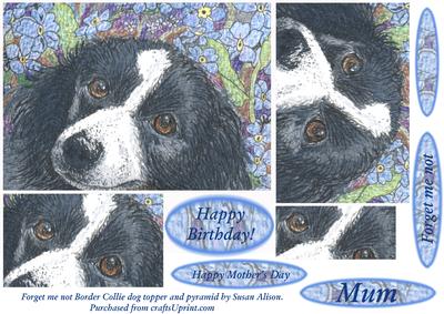 Forget Me Not Border Collie Dog Topper and Pyramid