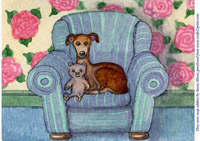 A4 This Greyhound and His Teddy Bear Are Soap Addicts - 