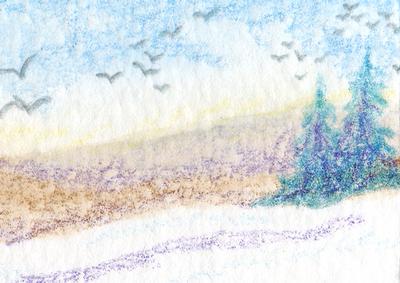 Fir Trees, Snow, Sky and Birds Backing Paper