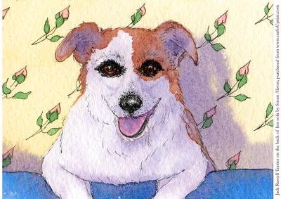 Jack Russell Terrier on the Back of Her Sofa