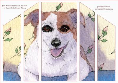 Jack Russell Terrier on the Back of Her Sofa Theatre Fold
