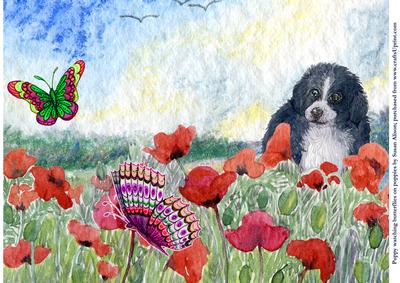 Puppy Watching Butterflies on Poppies