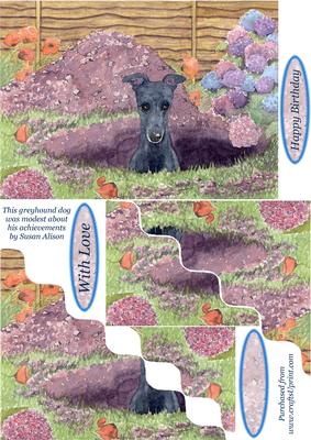 This Greyhound Dog Was Modest About His Achievements Topper