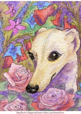 Shy Flower Whippet