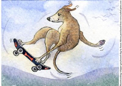 Skateboarding Whippet Greyhound Dog