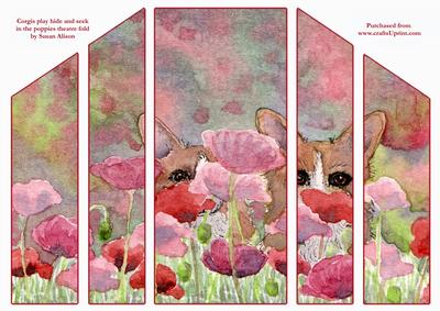 Corgi Dogs Play Hide and Seek in the Poppies Theatre Fold