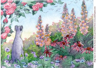 Greyhound Dog Days of Summer