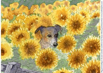 Dog Pretending to Be Just Another Sunflower
