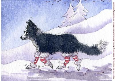 They Were His Favorite Leg Warmers