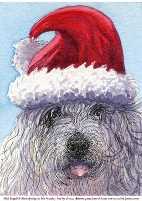Old English Sheepdog in His Holiday Hat