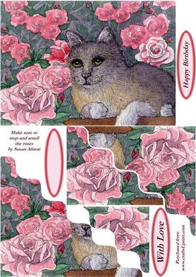 Cat Makes Sure to Stop and Smell the Roses