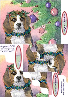 Beagle Proud of His Colour Sense with Christmas Decorations