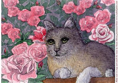 Cat Makes Sure to Stop and Smell the Roses