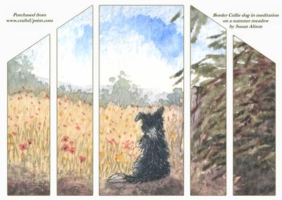 Border Collie Dog Meditating on Summer Meadow Theatre Fold