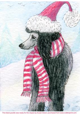 This Black Poodle Was Ready for the Slopes