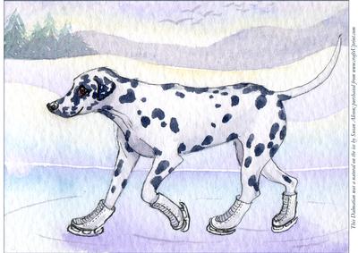 This Dalmatian Was a Natural on the Ice