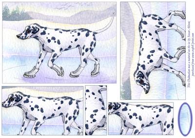 This Dalmatian Was a Natural on the Ice Pyramid