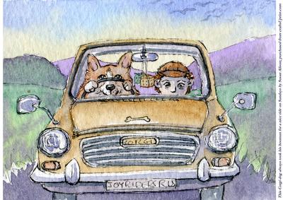 This Corgi Dog Took His Hoomun for a Nice Drive Every Sunday