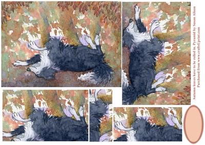 Autumn Leaves Are for Rolling in Pyramid