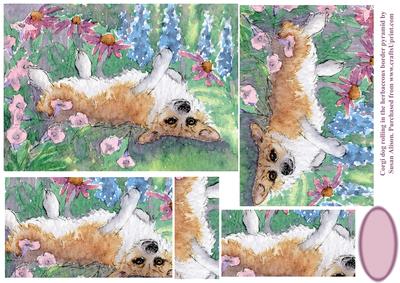 Corgi Dog Rolling in the Herbaceous Border Pyramid