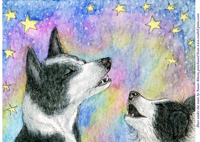 Duet Under the Stars