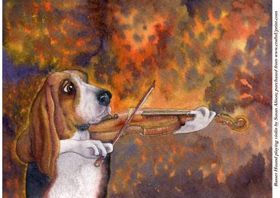 Basset Hound Playing Violin Solo