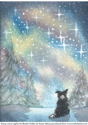 Starry, Starry Night - Border Collie Dog