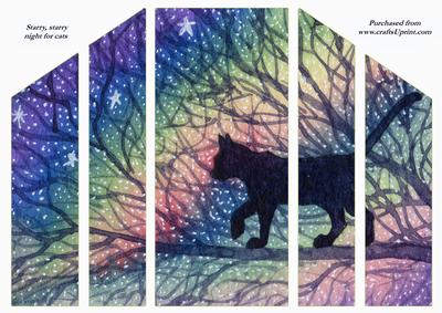 Starry, Starry Night - Cat Out and About