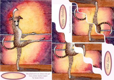 This Ballerina Practised Every Chance She Got Wavy Stacker