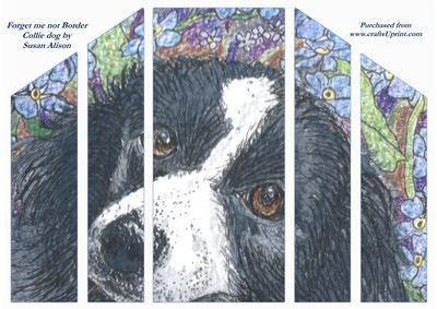 Forget Me Not Border Collie Dog Theatre Fold