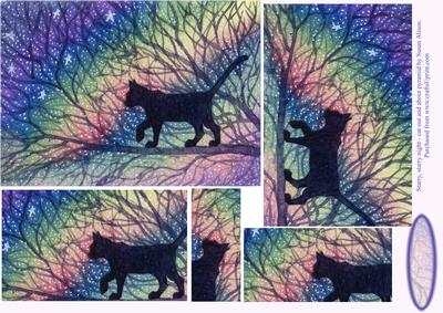 Starry, Starry Night - Cat Out and About - Pyramid