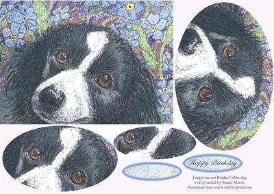 Forget Me Not Border Collie Dog Oval Pyramid