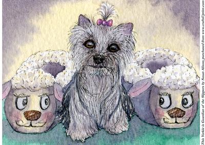This Yorkie is Guardian of the Slippers
