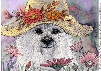 Westie's Special Garden Hat
