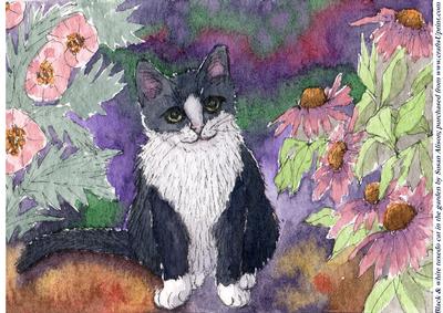 Black & White Tuxedo Cat in the Garden