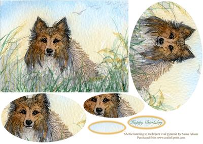 Sheltie Listening to the Breeze - Oval Pyramid