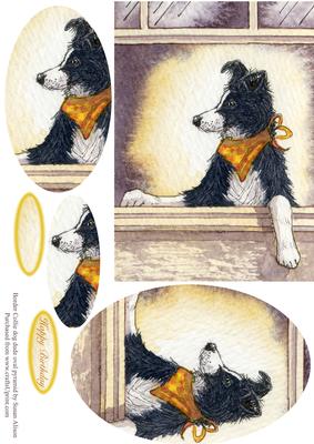 Border Collie Dog Dude Oval Pyramid