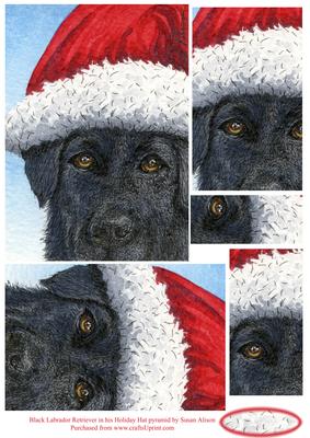 Black Labrador Retriever in His Holiday Hat Pyramid