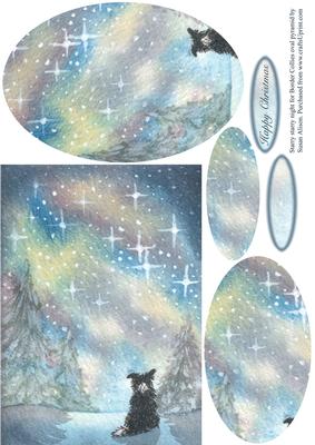 Starry, Starry Night - Border Collie Dog Oval Pyramid