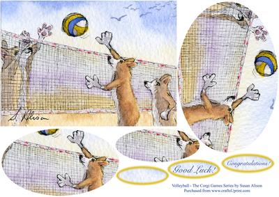 Volleyball - the Corgi Games Series