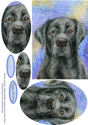 The Boy Next Door - Black Labrador Retriever Oval Pyramid