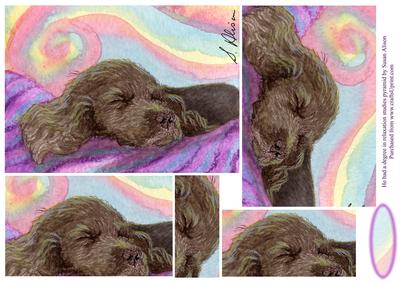 He Had a Degree in Relaxation Studies Pyramage