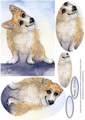 Corgi Dog Trying to Understand His Hoomun Oval Pyramid
