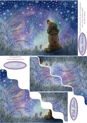 Poodle Looking to the Stars for Inspiration Stacker