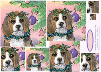 Beagle Proud of His Colour Sense with Christmas Decorations