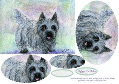 Cairn Terrier Dog Keen for Walk