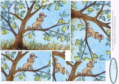  - and a Poo-oodle in a Pear Tree -  Pyramage