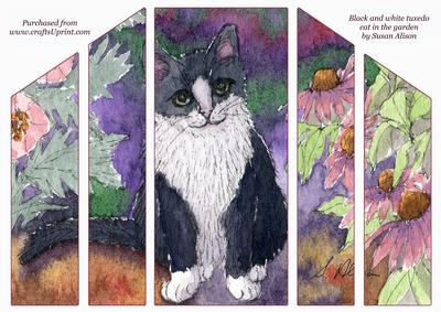 Black & White Tuxedo Cat in the Garden - Theatre Fold