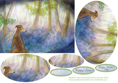 Bluebell Woods from the Spring Series