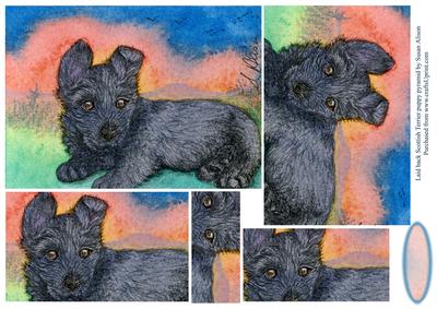 Laid Back Scottish Terrier Puppy Pyramage